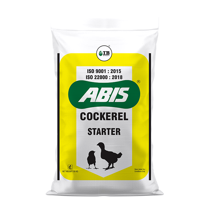 ABIS Cockerel Starter
